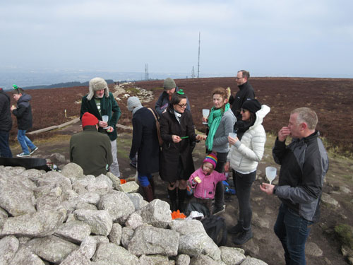 Paddy's Day walk, Ticknock Forest to Fairy Castle