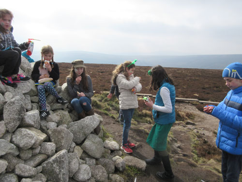 Paddy's Day walk, Ticknock Forest to Fairy Castle