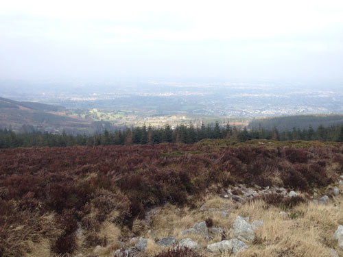 Paddy's Day walk, Ticknock Forest to Fairy Castle